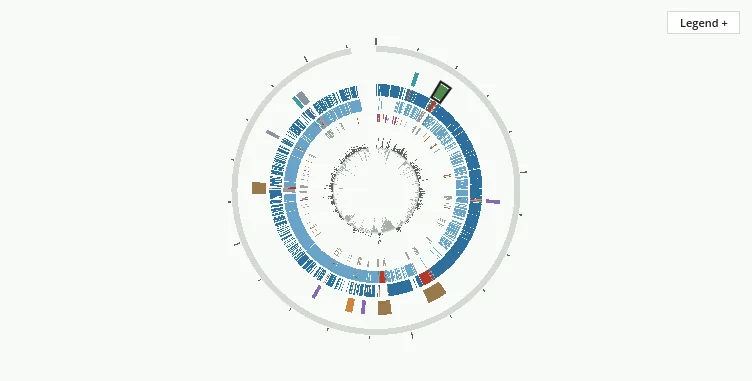Preview of the actual circular genome viewer for public Bacillus subtilis N4.